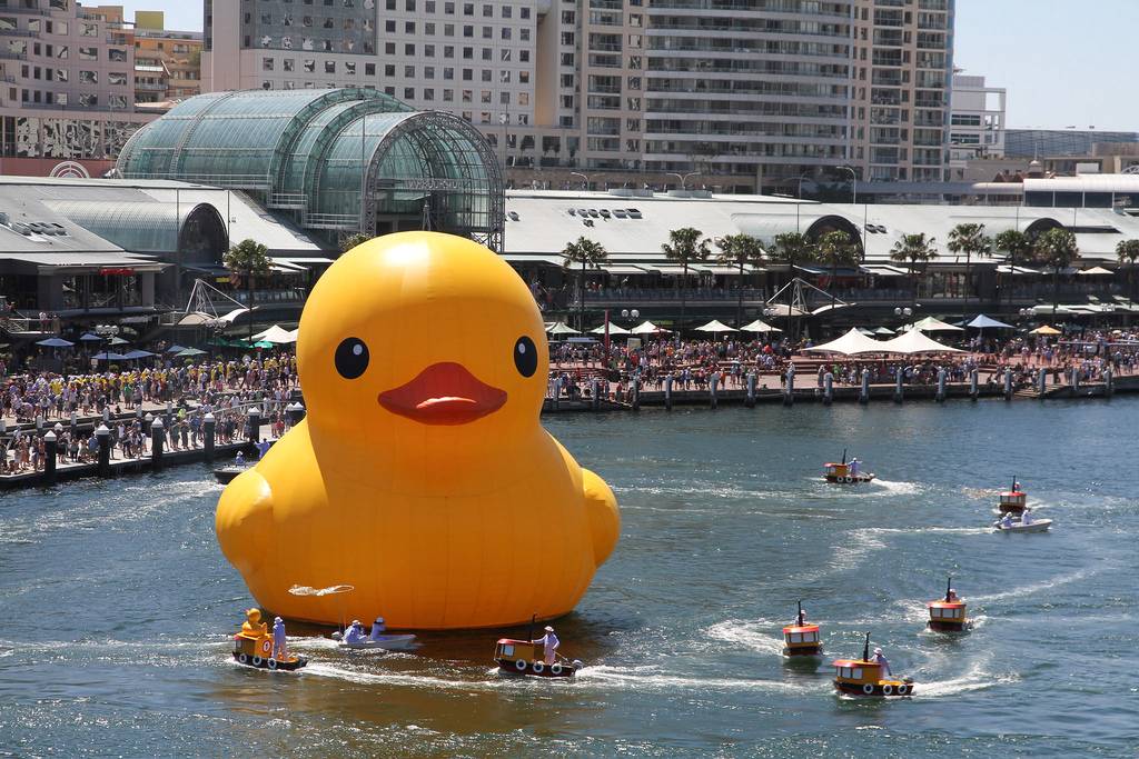 Giant rubber duck